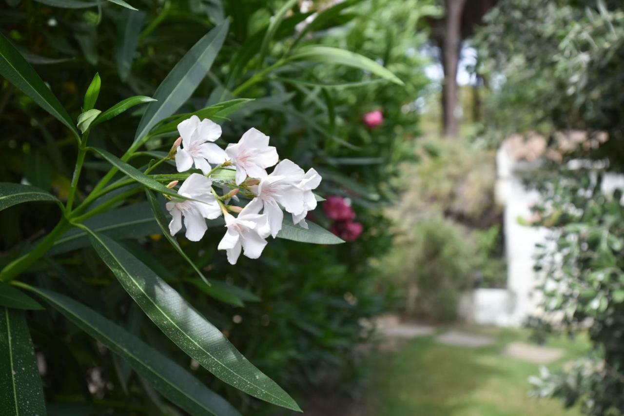 Maison Nous Santa Margherita di Pula Zewnętrze zdjęcie